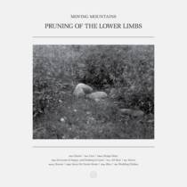 Pruning Of The Lower Limbs