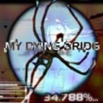 34.788%...complete