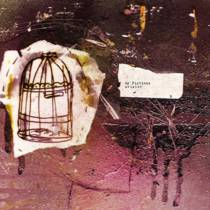 My Fictions/Aviator Split