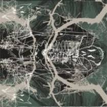 We Have Departed The Circle Blissfully (Collaboration avec Fear Falls Burning)