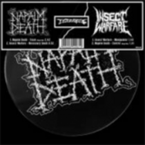 Split avec Insect Warfare