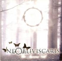 The Aurora Veil