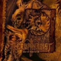 Onset Of Putrefaction