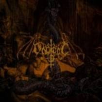 Arisen From The Ashes