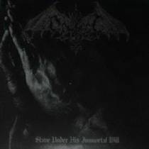 Slave Under His Immortal Will