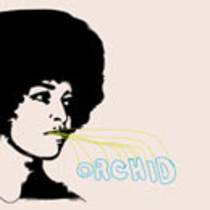 Orchid