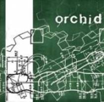 Orchid 7"