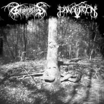 Split avec Lake Of Blood