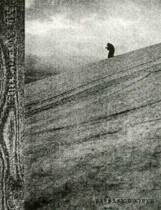Paysage D'Hiver