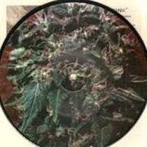 Split w/ Corrupted 7"