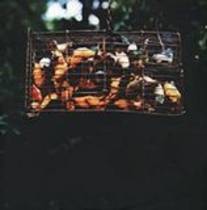 Wrong French (EP)
