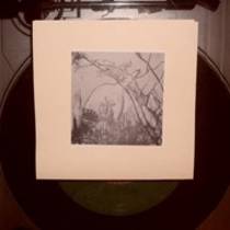 Big Web 7"