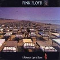 A Momentary Lapse Of Reason