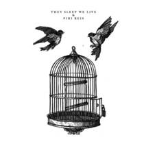 They Sleep We Live Split 7"