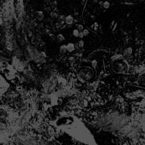 Split avec Unearthly Trance