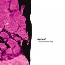 Shipwrecker's Diary