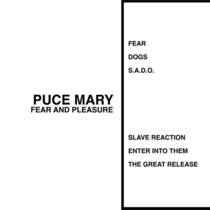 Fear and Pleasure