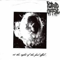 At The Sight of The Fool Offal
