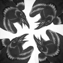 Magpie & Raven (avec Wraiths)