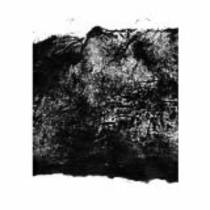 Split 12" avec Mamiffer