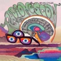 Brain Cycles