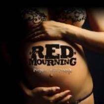 Pregnant With Promise