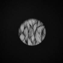 Answers - ep