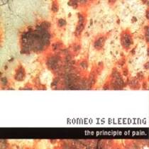 The Principle of Pain