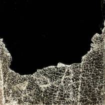 House Of Leaves