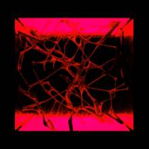 Void Remixes
