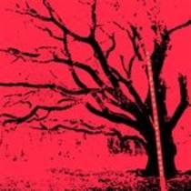 Cherry Mount