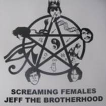 Split 7" avec Jeff the Brotherhood