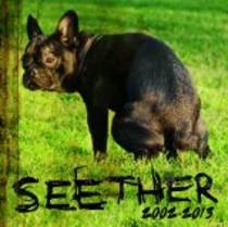 Seether 2002 2013