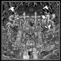 Septic Tank