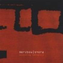 Switching Rethorics (Split with Merzbow)