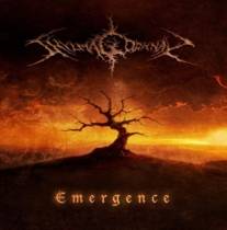 Emergence