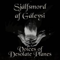 Voices Of Desolate Planes