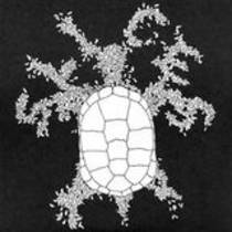s/t - 7"