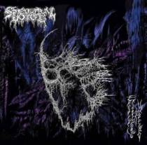 Eroded Corridors Of Unbeing