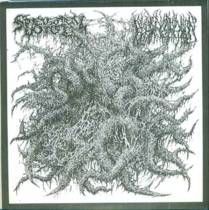 Split avec Blood Incantation