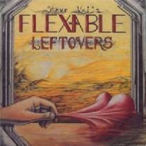 Flex-Able Leftovers