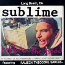 Robbin' The Hood