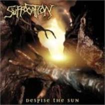 Despise The Sun