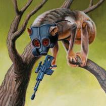 Split avec Circa Survive