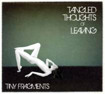Tiny Fragments