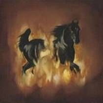 ... Are The Dark Horse
