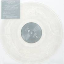 Split avec Amenra