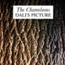 Dali's Picture