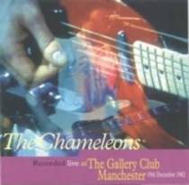 Live at the Gallery Club Manchester