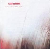 Seventeen Seconds